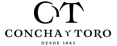 concha-toro-2